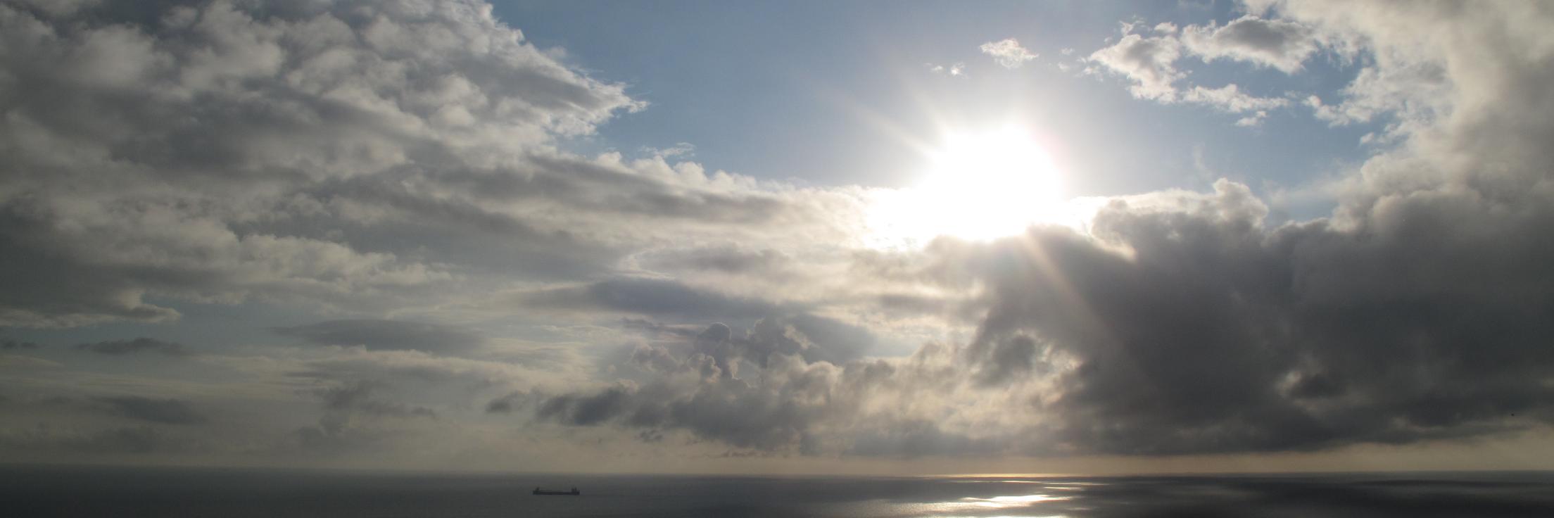 Peter Lansberg MDPhD banner