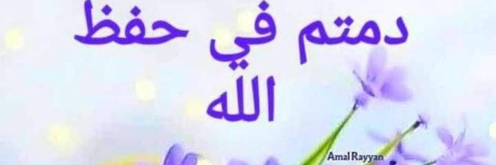 SBekhet's profile banner image