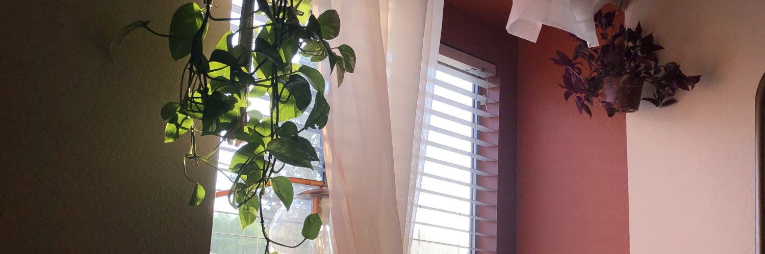 sottharryss's profile banner image