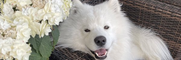 ilyEffi Profile Banner