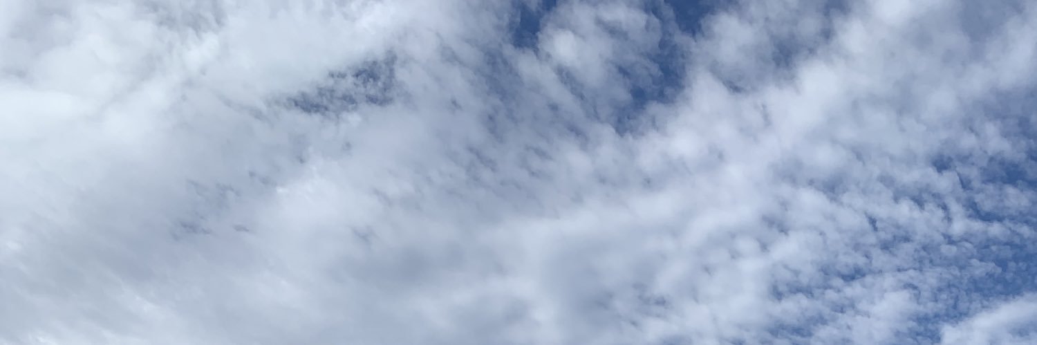 adalrbh's profile banner image