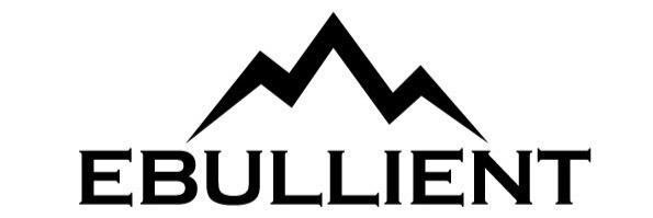 ebullient_sb's profile banner image