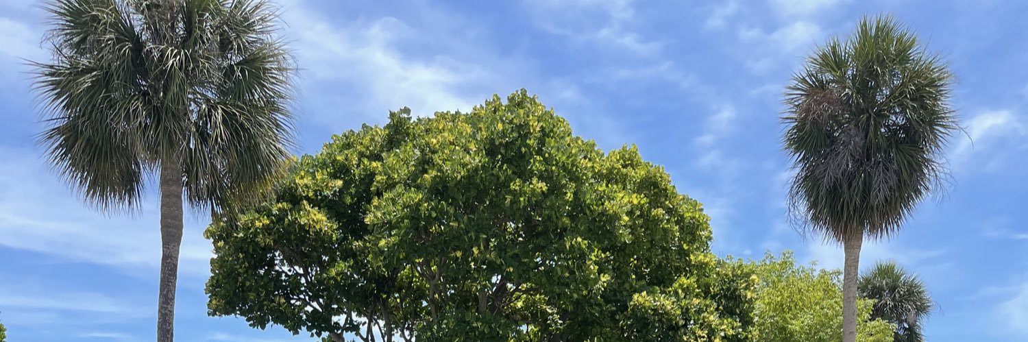 Louverture Jones banner