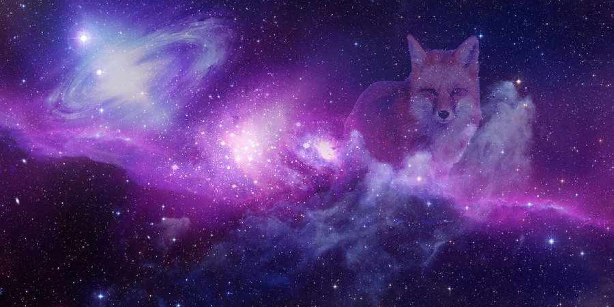 tokyonights's profile banner image