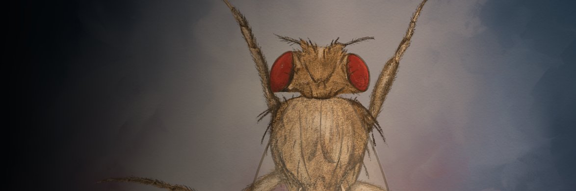 EmaCiencia's profile banner image