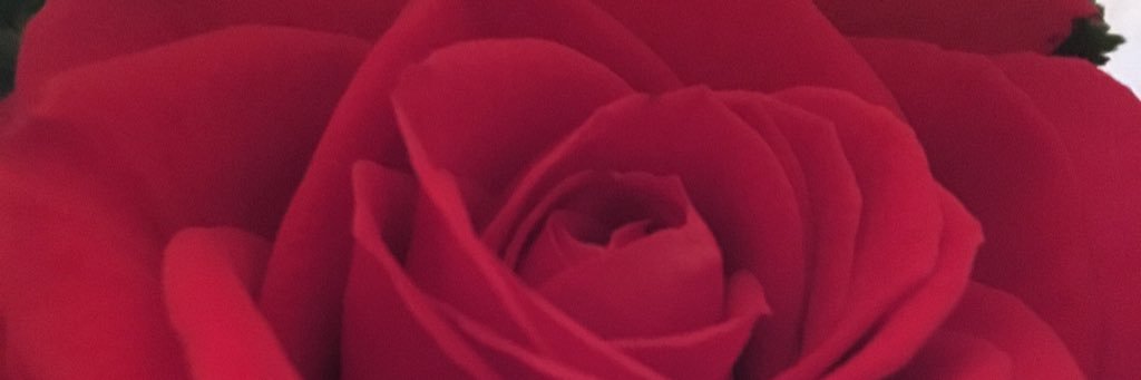 wood_mlle's profile banner image