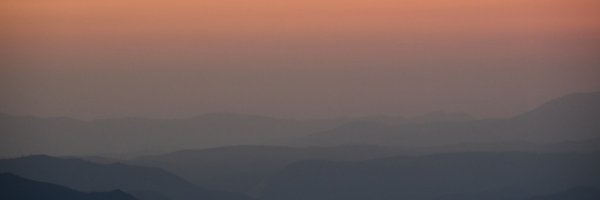 berkustun Profile Banner