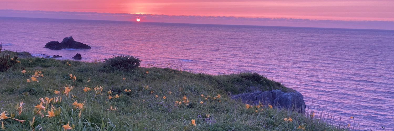 wbf_web's profile banner image