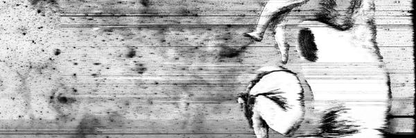 jbardakos Profile Banner