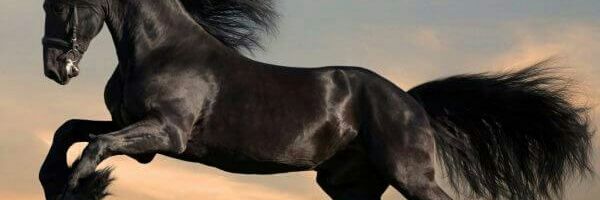 ialvarez78's profile banner image