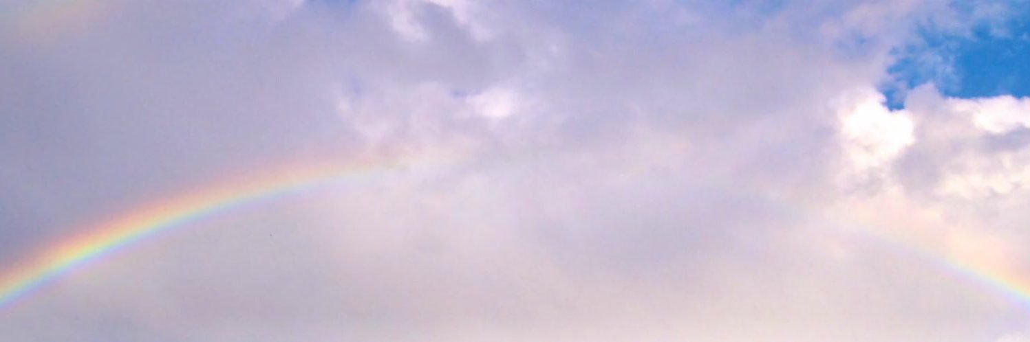 luminous_garden's profile banner image