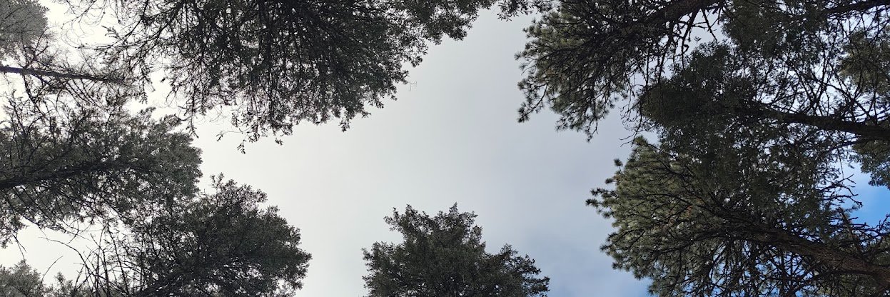 jstew509's profile banner image