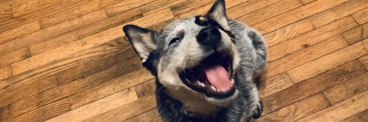 Kayleejo44's profile banner image