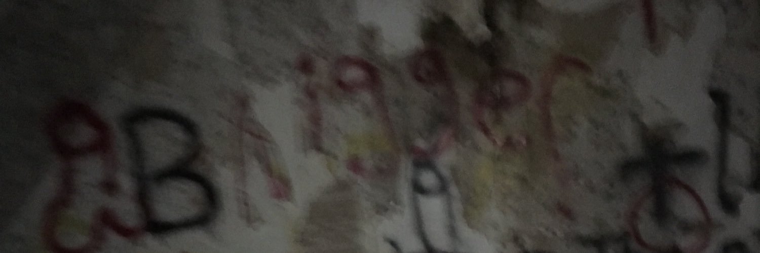 Skinnyrizz's profile banner image