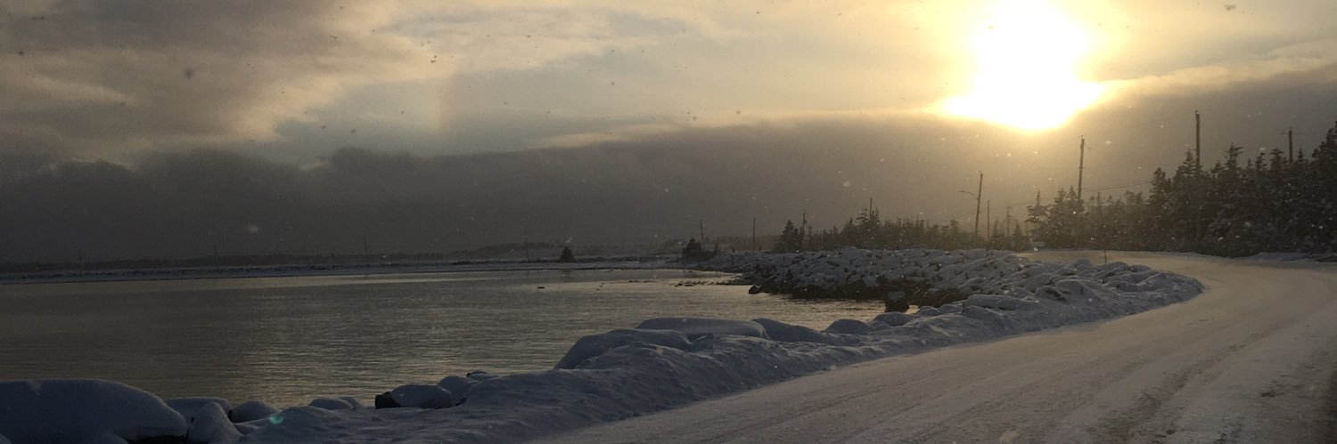 marcgdoucet's profile banner image