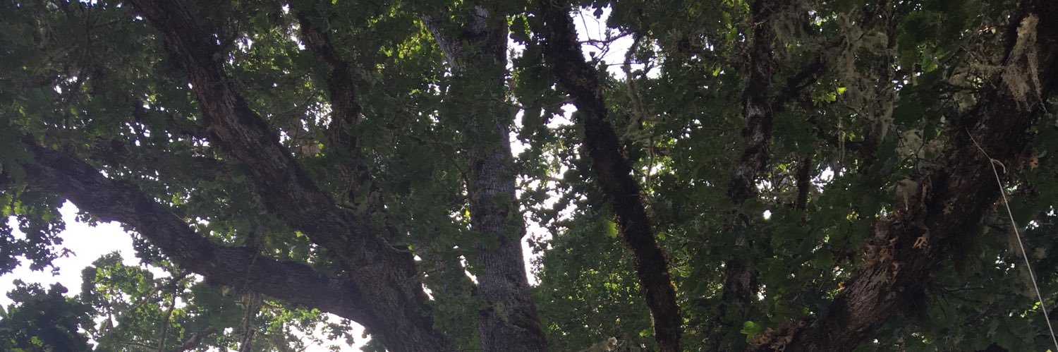 SofiaGarner11's profile banner image