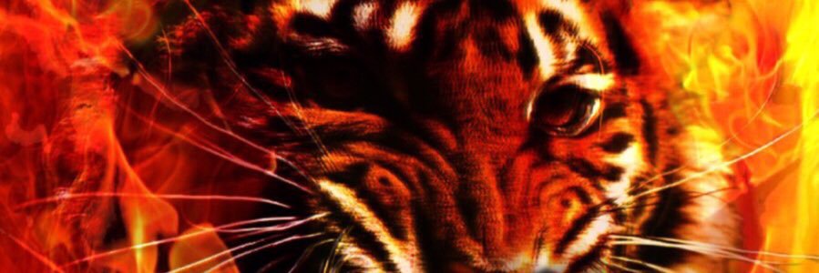 amontalvo89's profile banner image