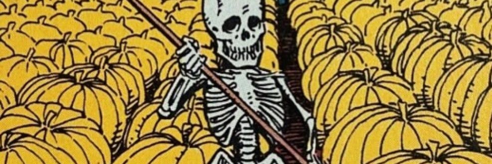 ♉︎ Avery ♉︎ 🍉 banner