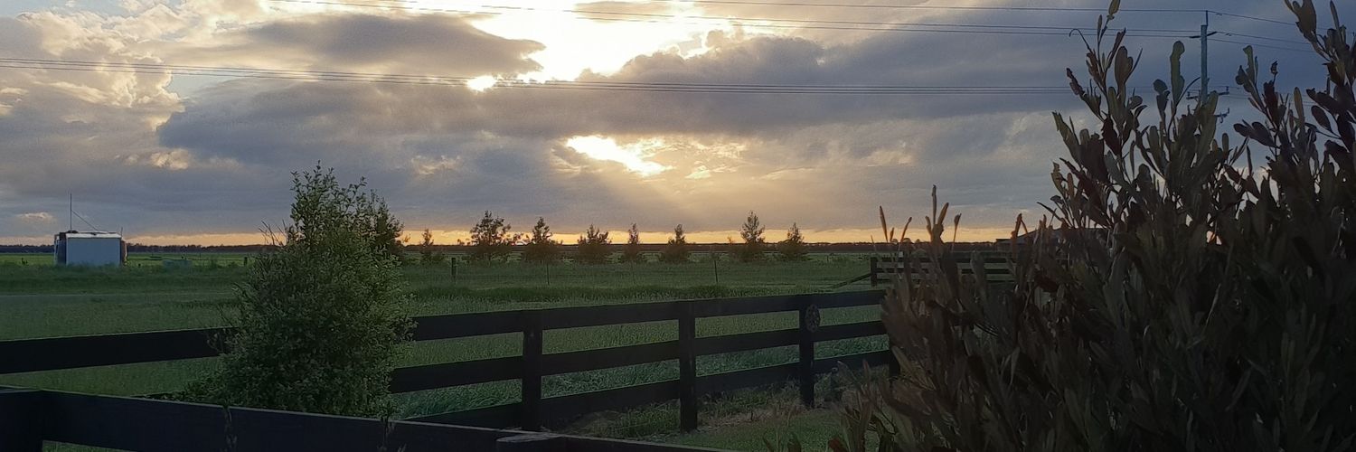 ranfernz25's profile banner image