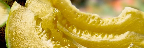 aRandomFatGuy's profile banner image