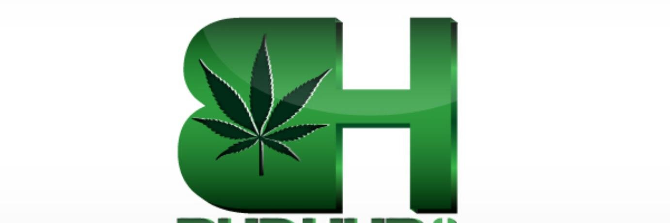BudHubInc's profile banner image