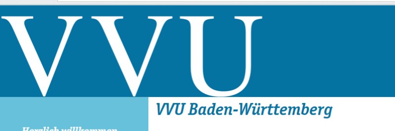 VVUeV's profile banner image