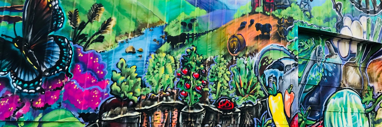 Abigail Arrigo banner