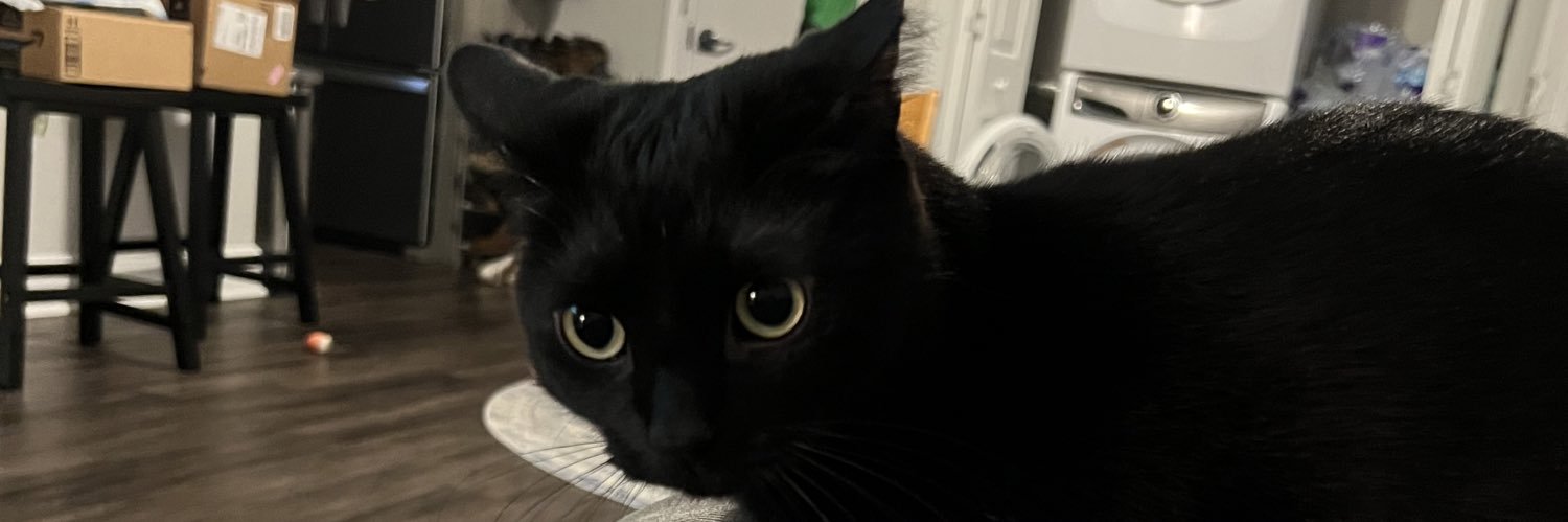 LadySlomko's profile banner image