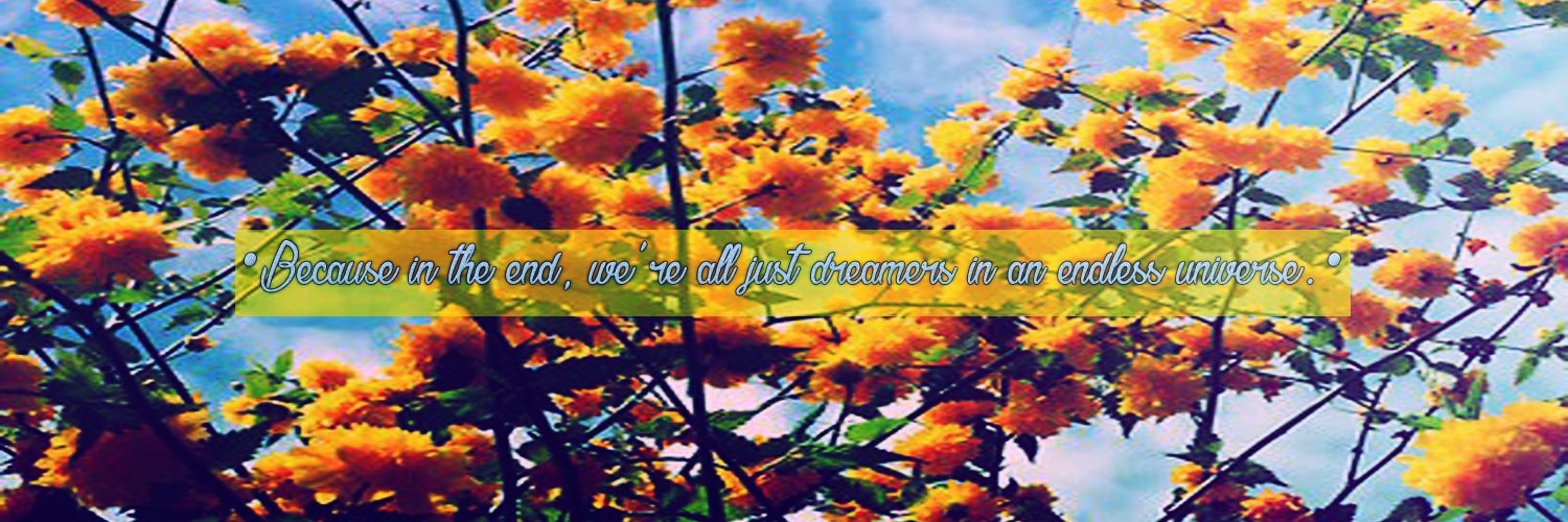 mackzrumfallo's profile banner image