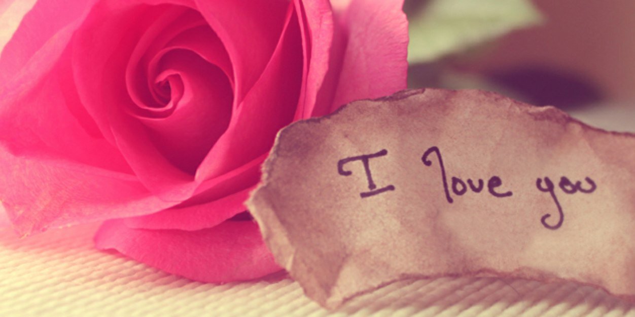 MelanieSaade's profile banner image