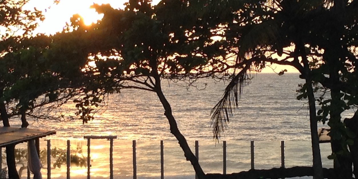 ROCHA0411's profile banner image