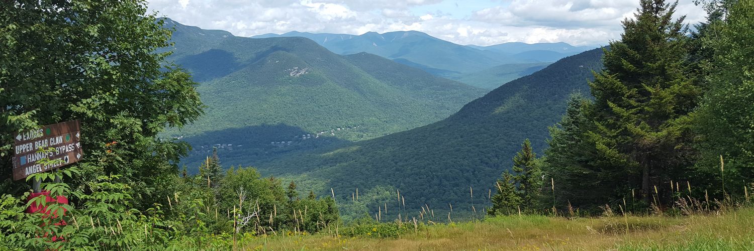 MLem_BTown's profile banner image