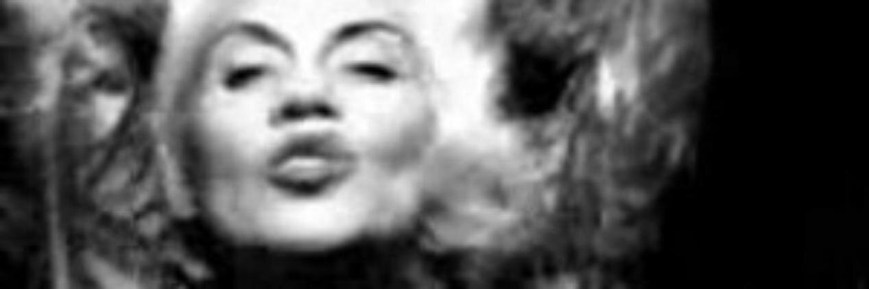 cynthia dimaria banner