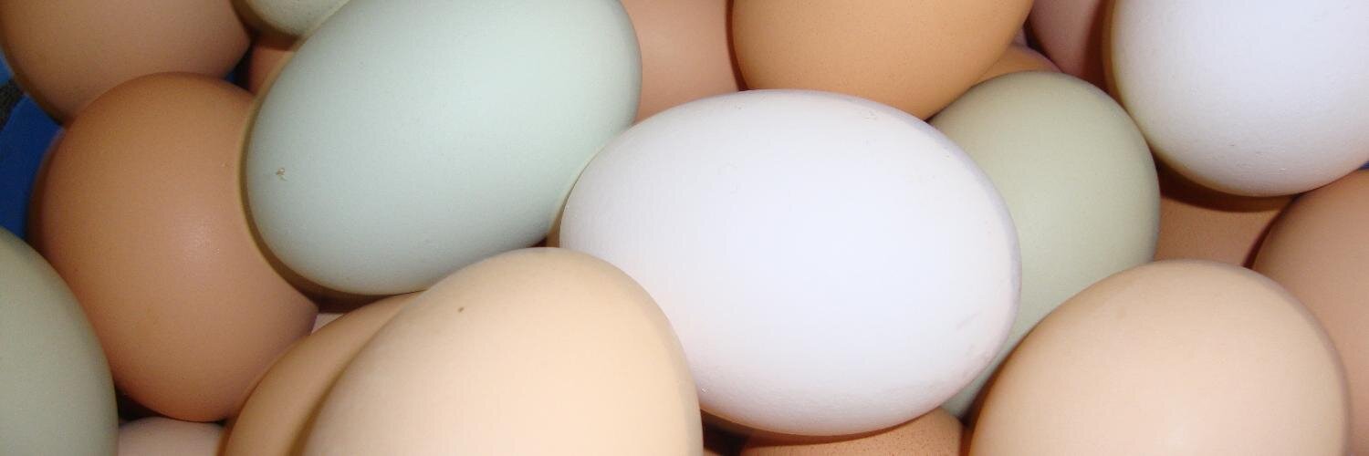 Clarkson Farm banner