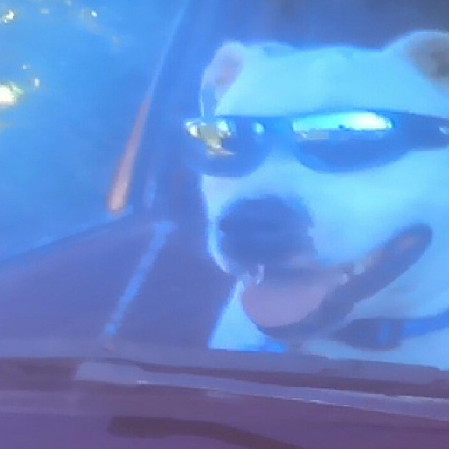 Opieshere902's profile banner image