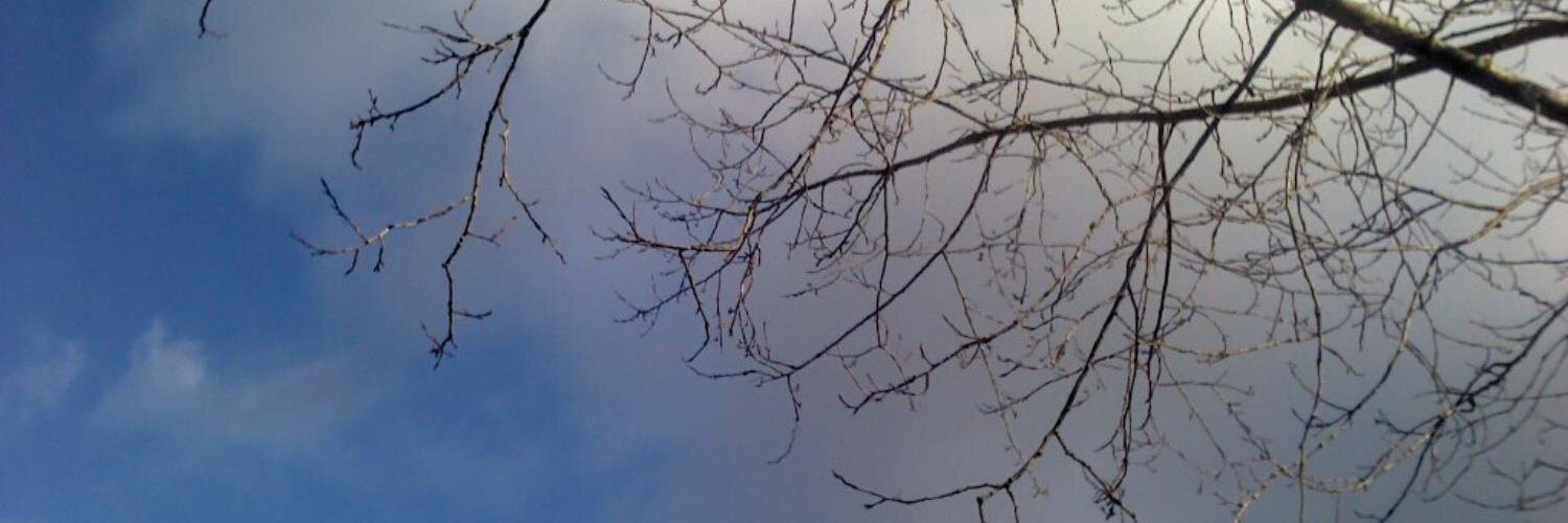 KelliWarner_'s profile banner image