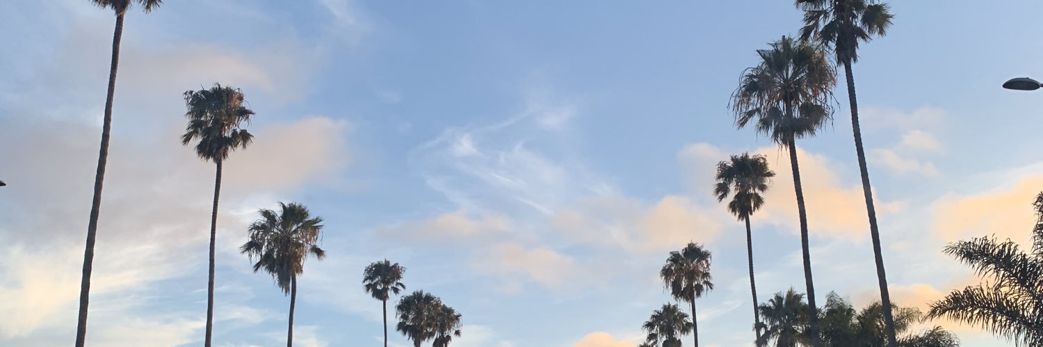 thischicklauren's profile banner image
