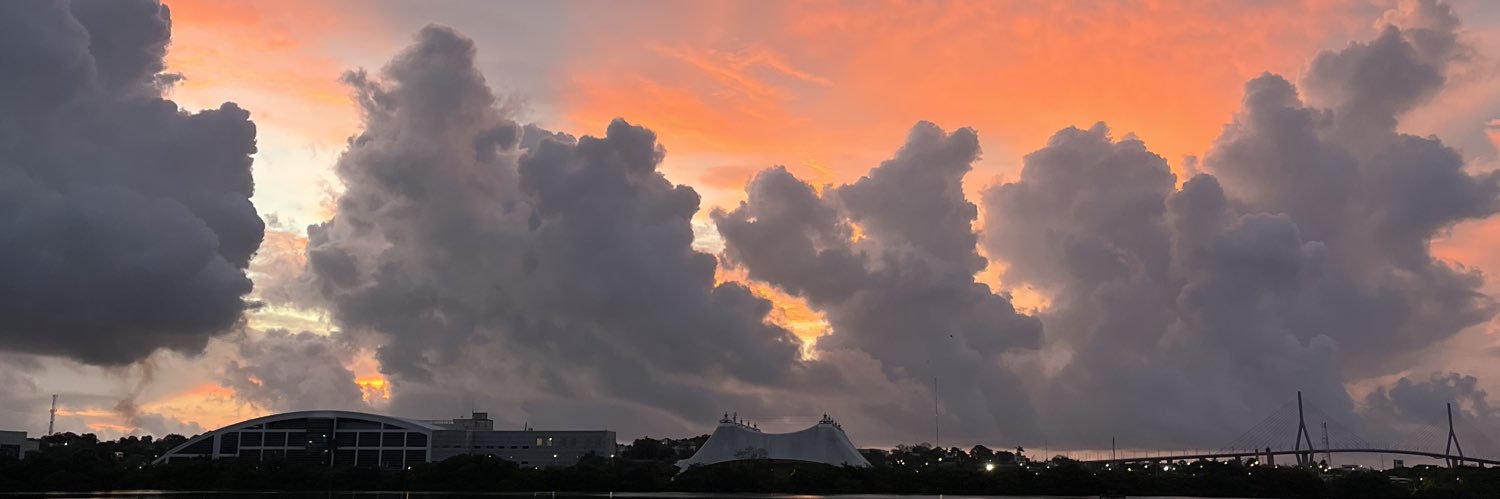 dianacbrs's profile banner image