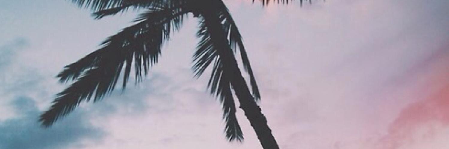 VaVaVoom_Jenni's profile banner image