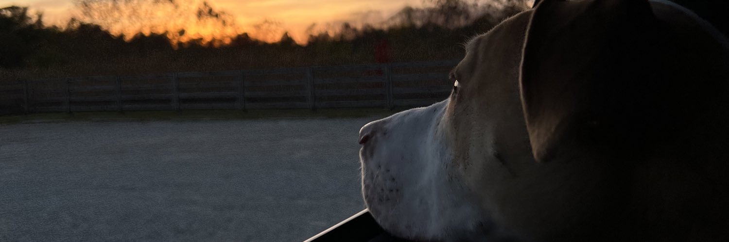 samuelflocka's profile banner image