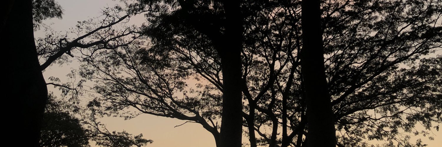 _emedemar's profile banner image