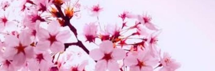 leannnael's profile banner image
