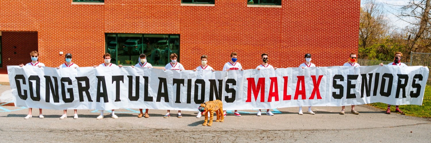 Moon Area Lacrosse banner