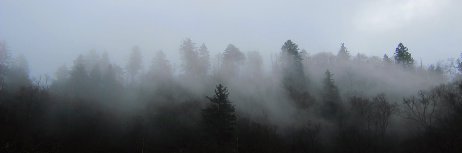sam_schrantz6's profile banner image