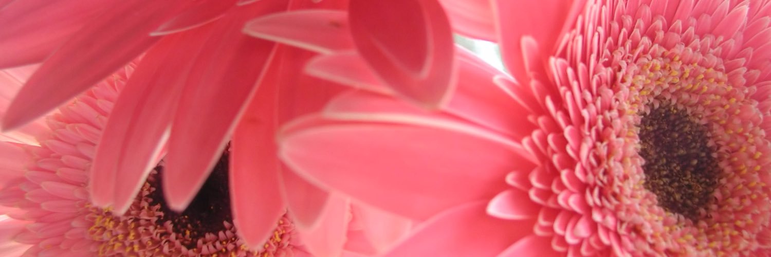 crebeccag's profile banner image