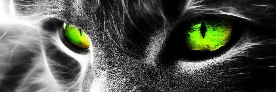 IAmCainne's profile banner image