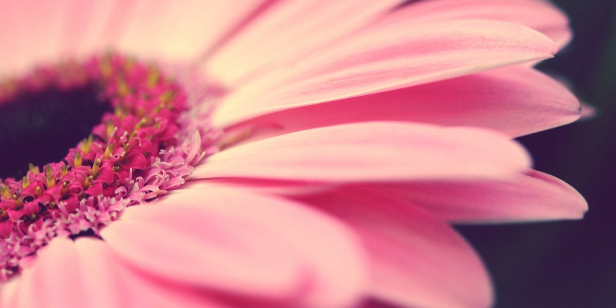 sandia012's profile banner image
