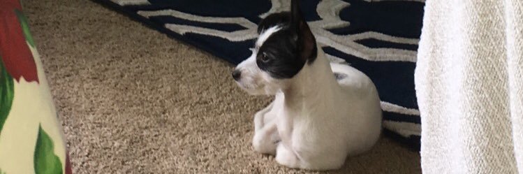Christian_rv_'s profile banner image
