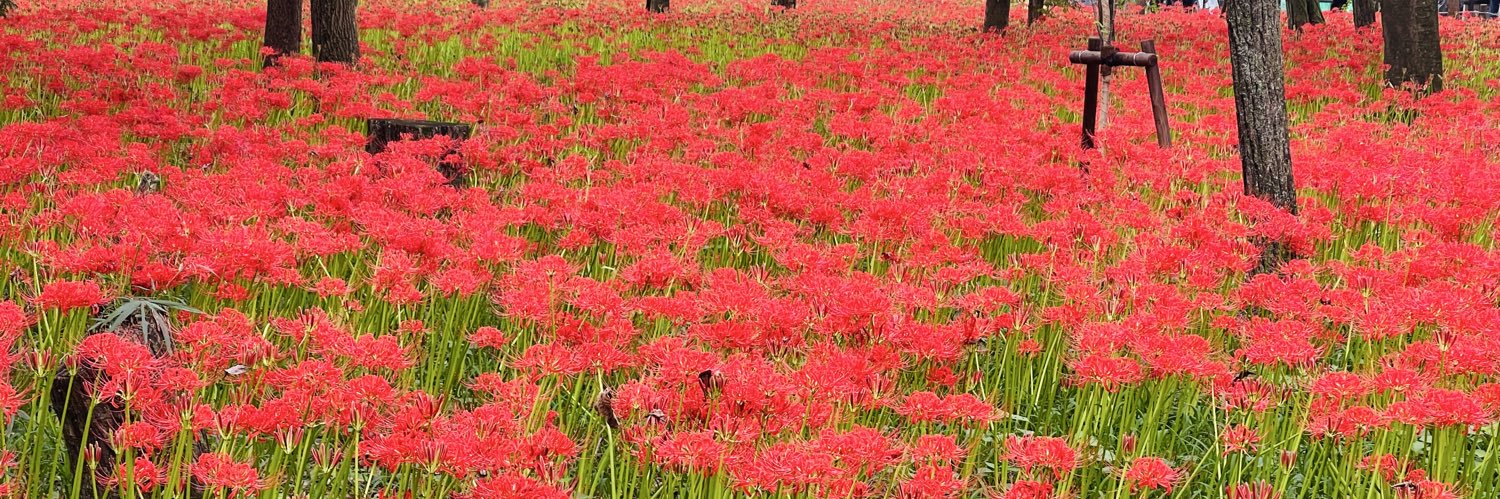 まーちゃん(ぐ) ♂🧸 banner