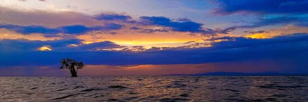 srsevv Profile Banner